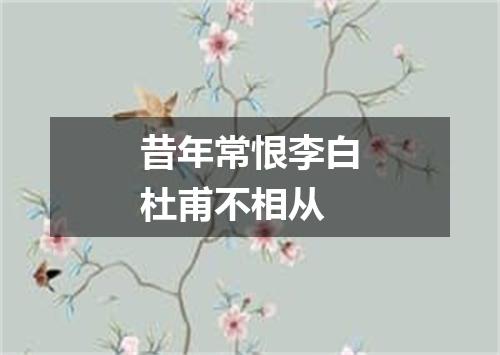 昔年常恨李白杜甫不相从