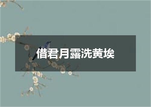 借君月露洗黄埃