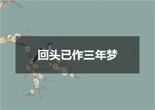 回头已作三年梦