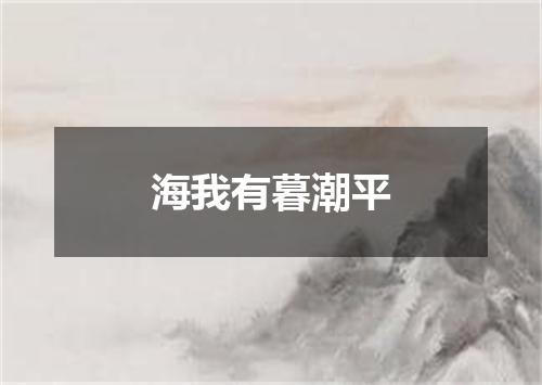 海我有暮潮平