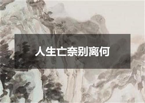 人生亡奈别离何