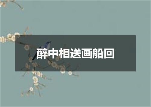醉中相送画船回
