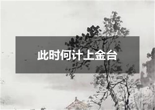 此时何计上金台