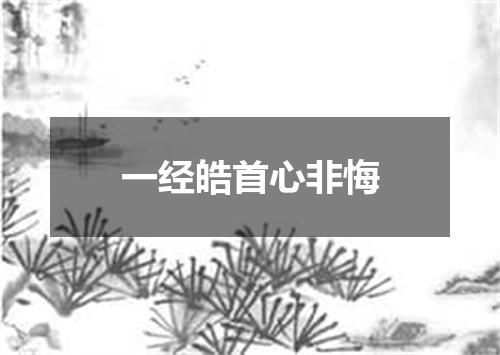 一经皓首心非悔
