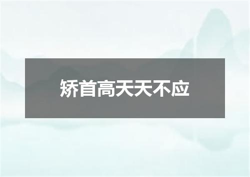 矫首高天天不应