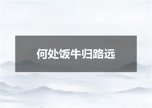 何处饭牛归路远