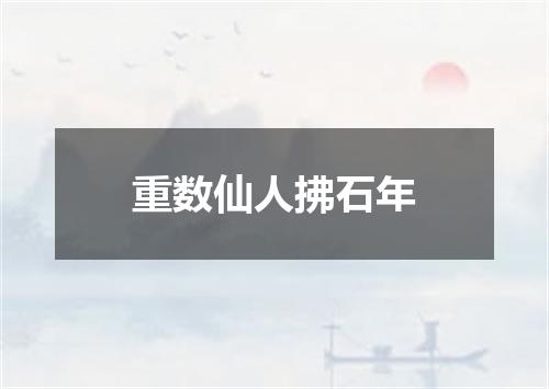 重数仙人拂石年