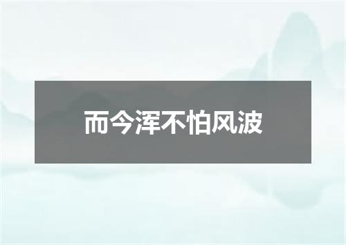 而今浑不怕风波