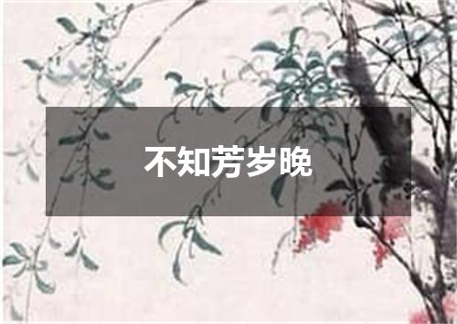不知芳岁晚