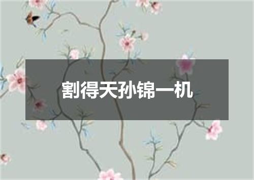 割得天孙锦一机