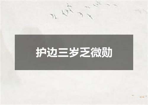 护边三岁乏微勋