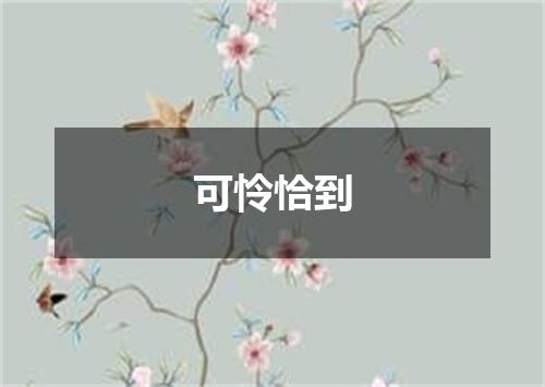 可怜恰到