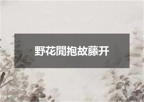 野花閒抱故藤开