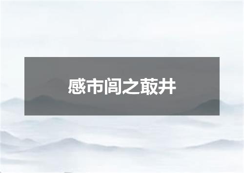 感市闾之菆井