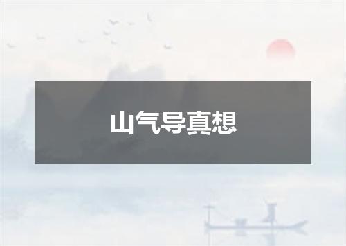 山气导真想