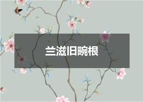 兰滋旧畹根