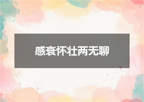 感衰怀壮两无聊