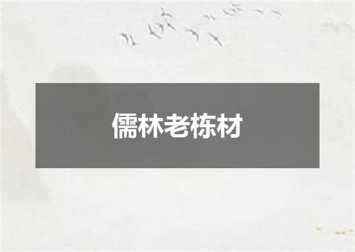 儒林老栋材