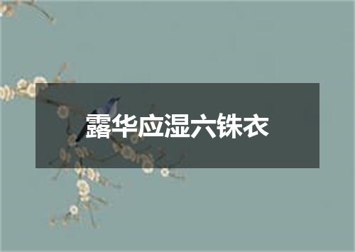 露华应湿六铢衣