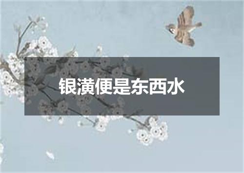 银潢便是东西水