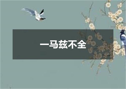 一马兹不全