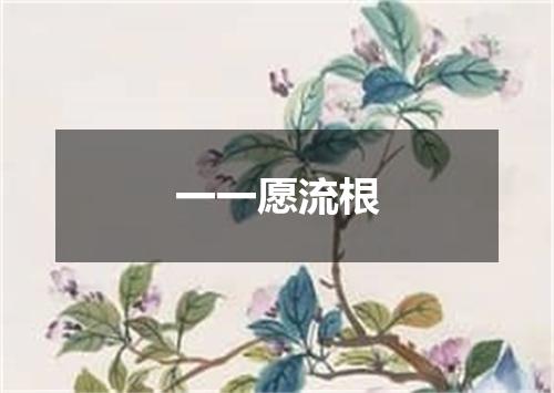 一一愿流根
