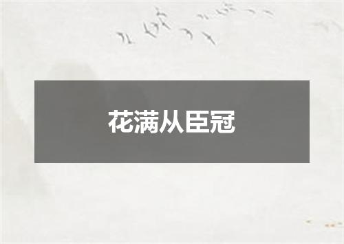 花满从臣冠