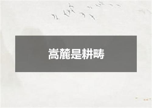 嵩麓是耕畴