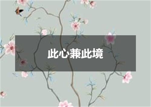 此心兼此境