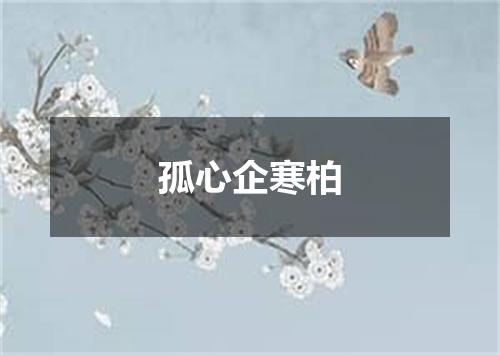 孤心企寒柏