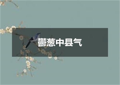 鬱葱中县气