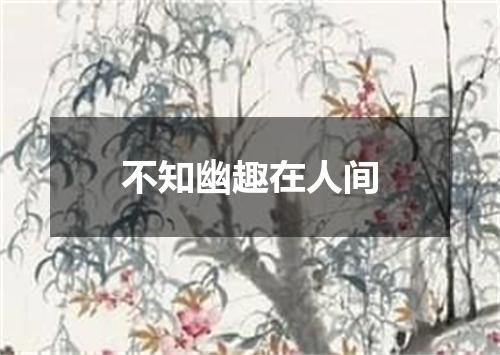 不知幽趣在人间