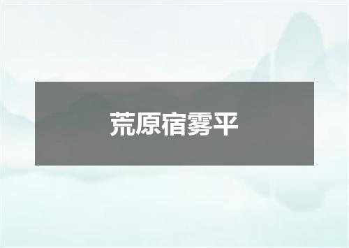 荒原宿雾平