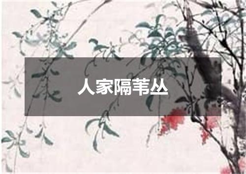 人家隔苇丛