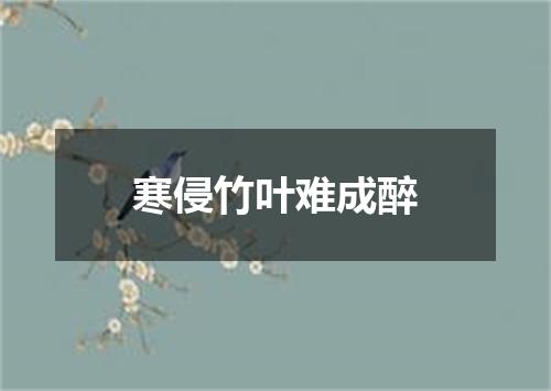 寒侵竹叶难成醉