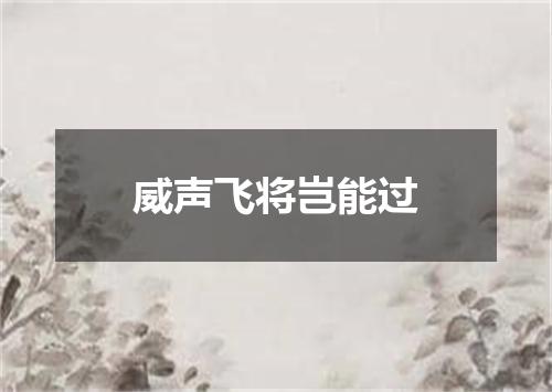 威声飞将岂能过