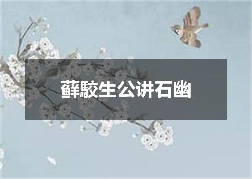 藓駮生公讲石幽