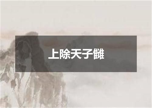 上除天子雠