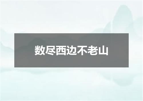 数尽西边不老山
