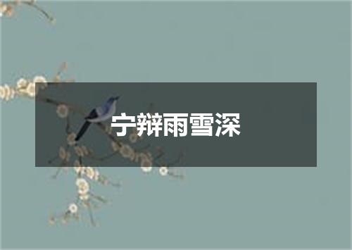 宁辩雨雪深