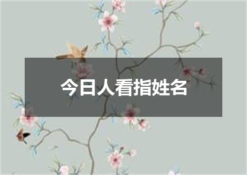 今日人看指姓名