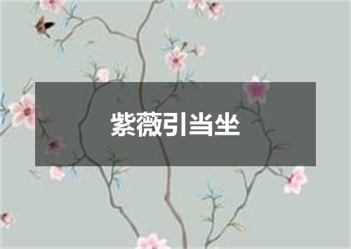 紫薇引当坐