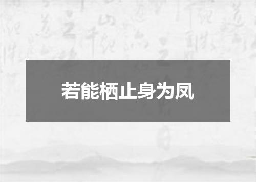 若能栖止身为凤
