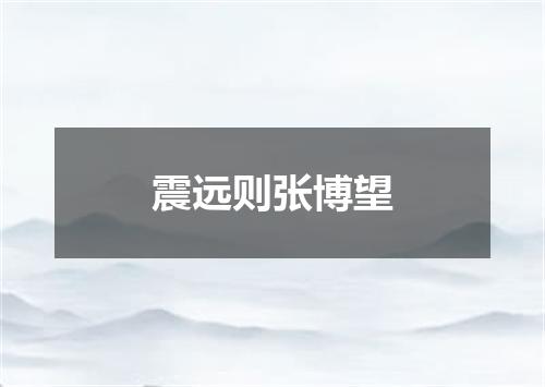 震远则张博望