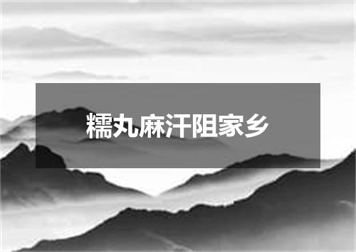 糯丸麻汗阻家乡