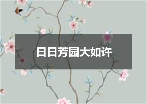 日日芳园大如许