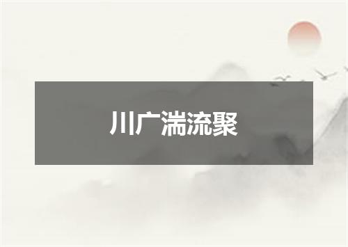 川广湍流聚