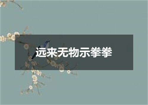 远来无物示拳拳