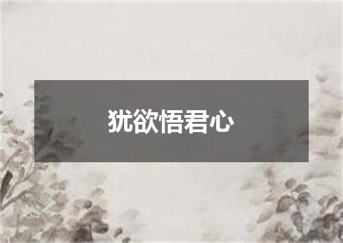 犹欲悟君心