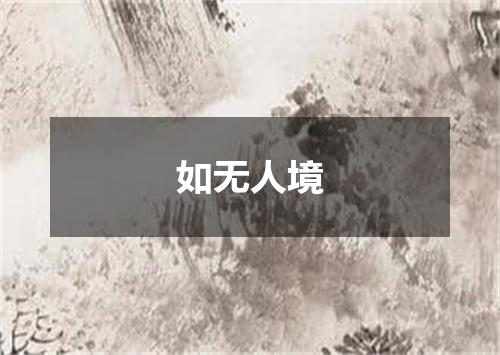 如无人境